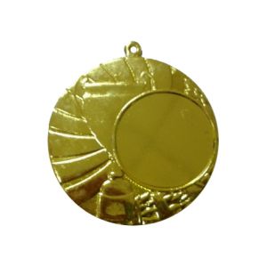 Медаль М2 золото D=45, (вкладыш  d=25mm)